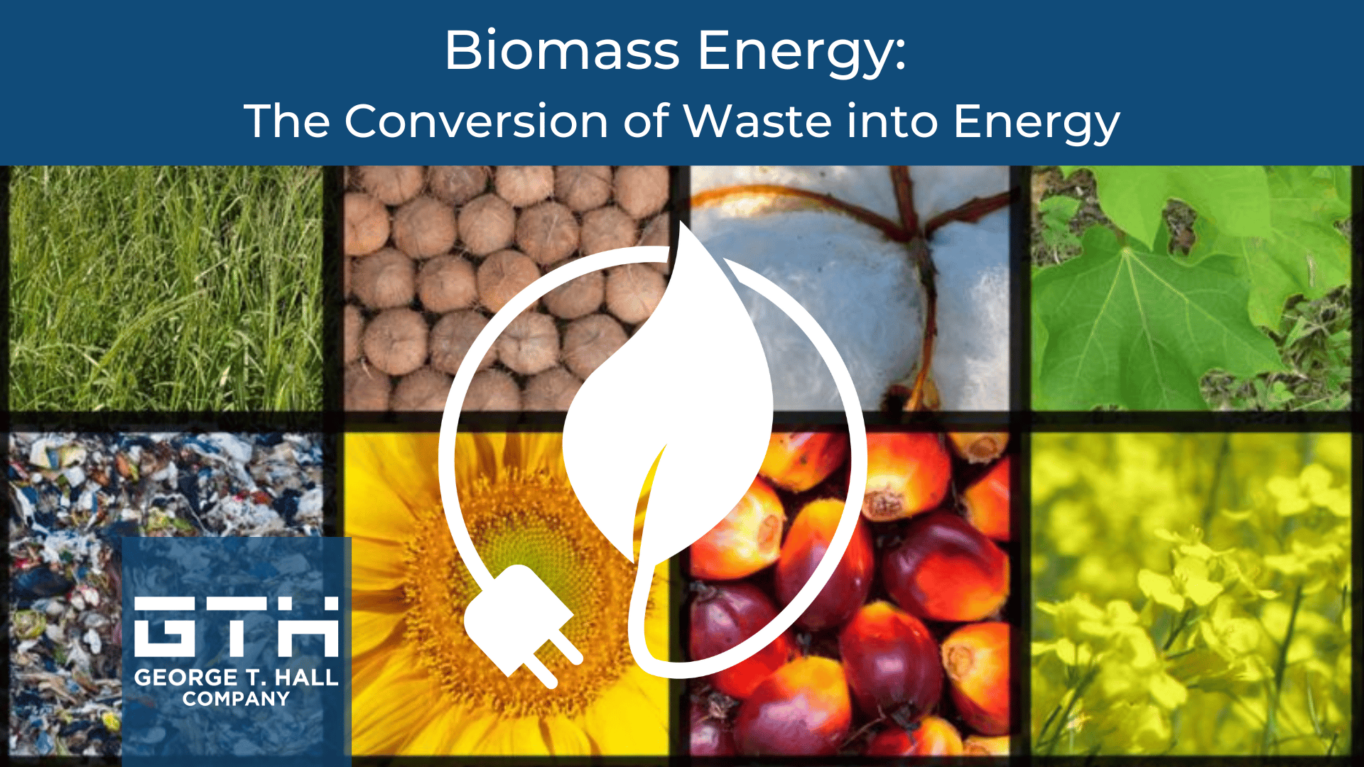 Biomass Energy