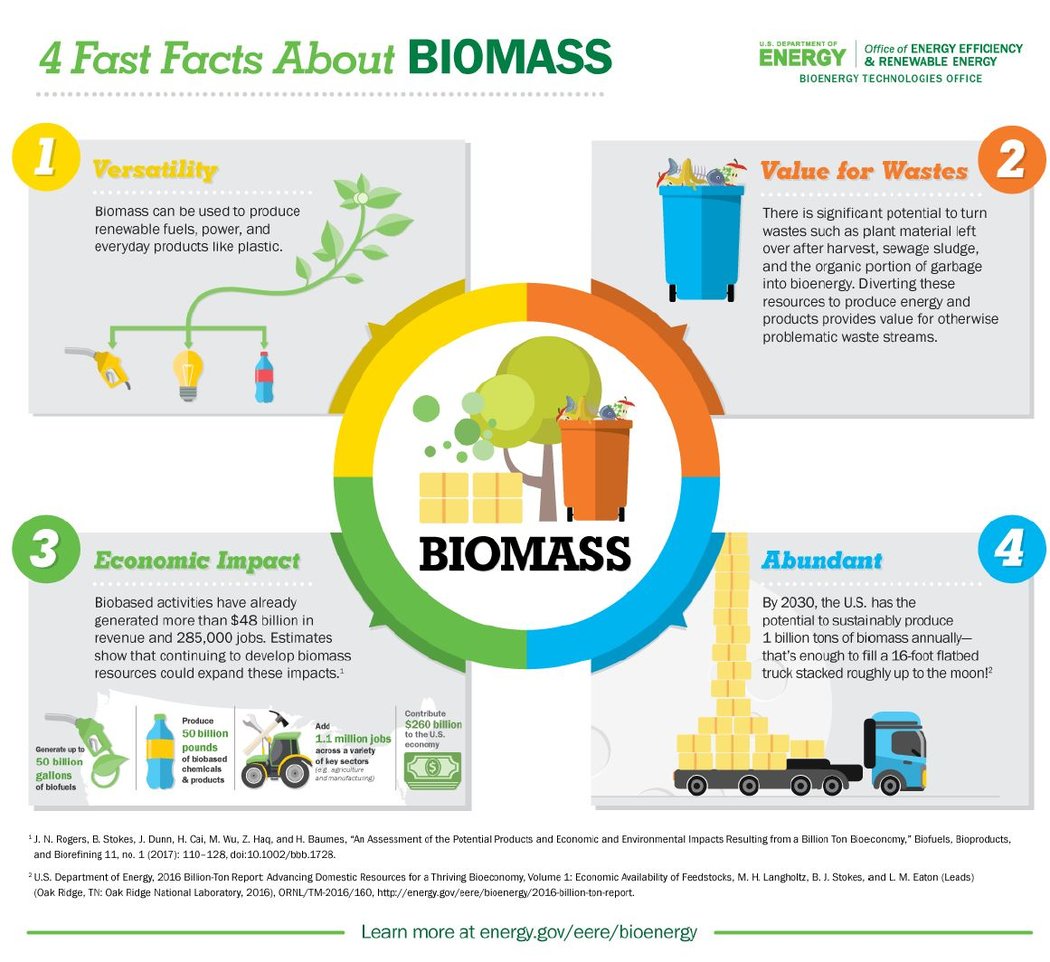 Biomass Energy: the conversion of waste into energy - George T. Hall ...