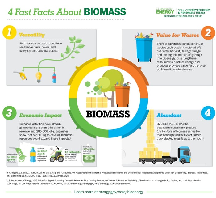 4 Fast facts about biomass