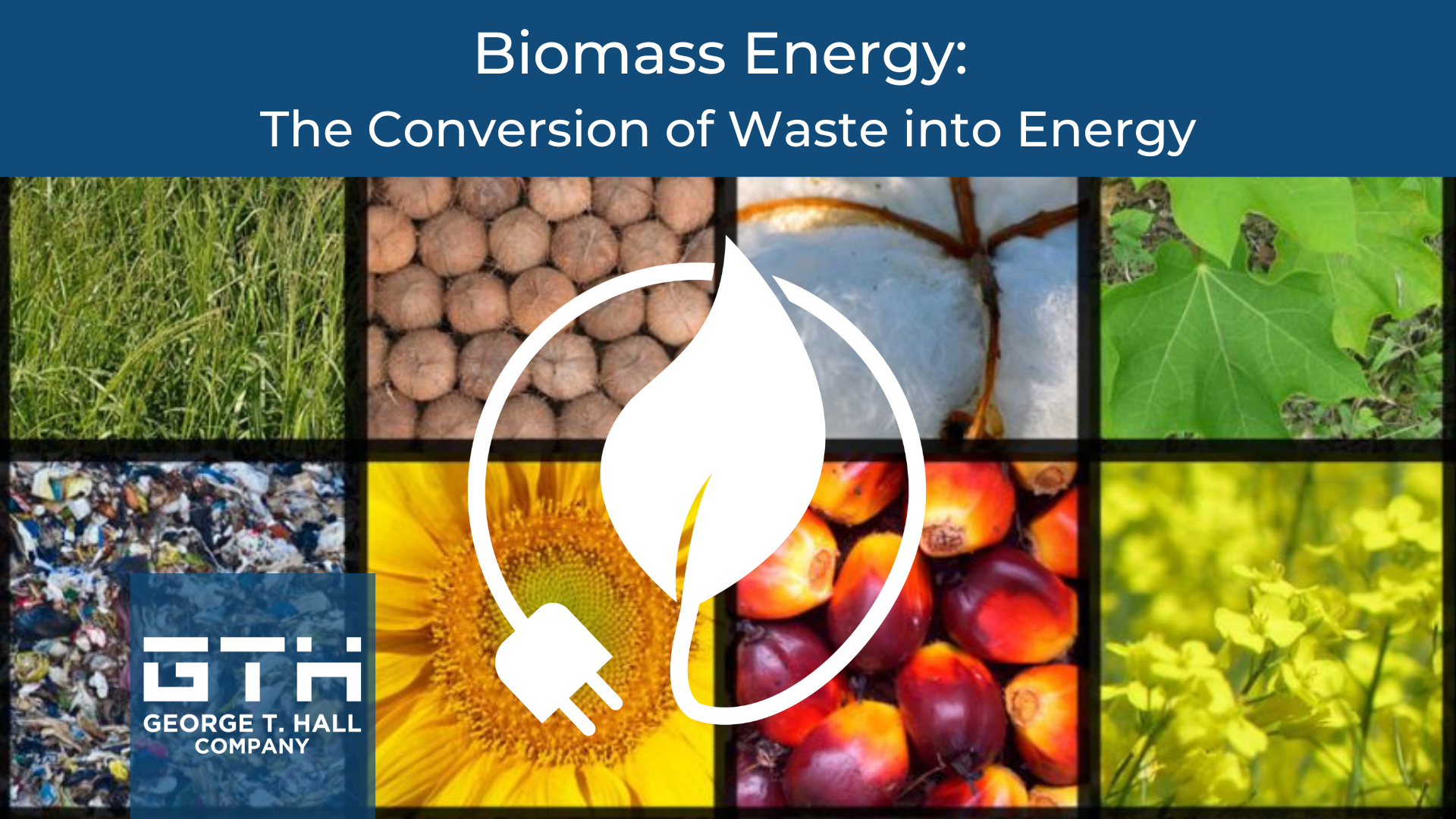 Biomass Energy: the conversion of waste into energy