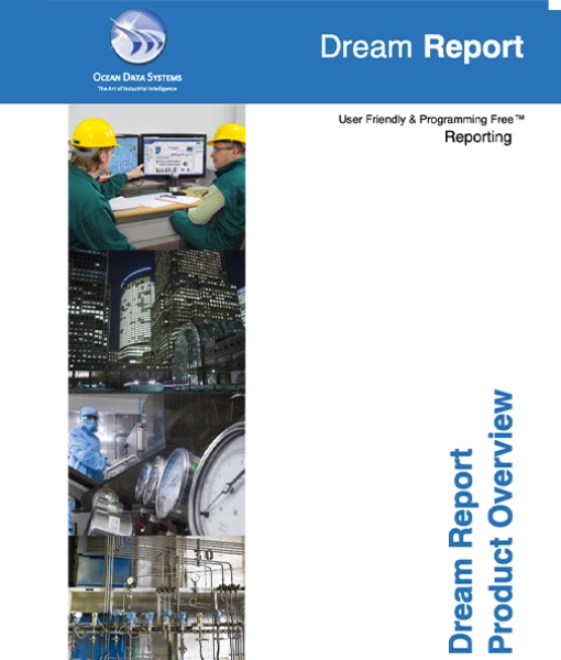 Report Product Overview